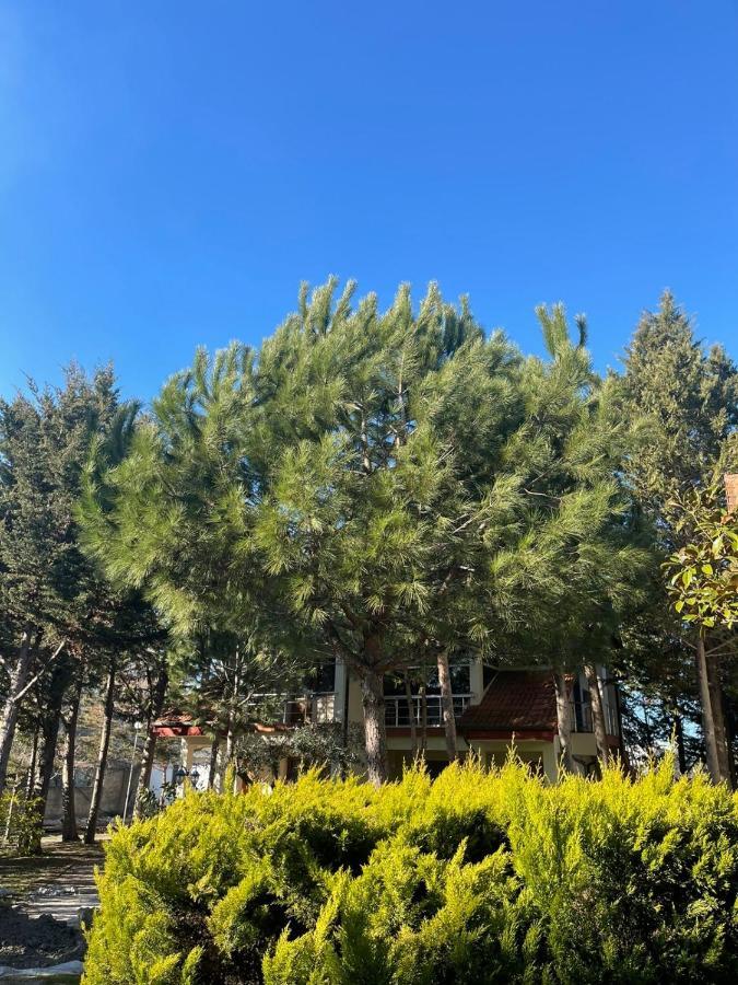 Hotel Garden Villa Ardo Голем Экстерьер фото